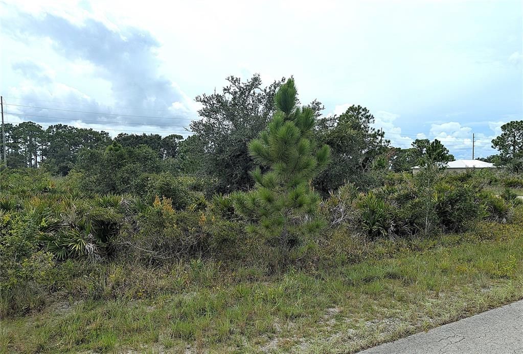 En Venta: $14,500 (0.27 acres)