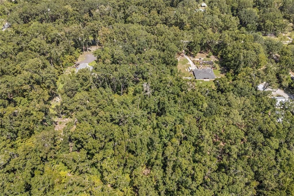 Под контрактом: $320,000 (3 спален, 2 ванн, 1612 Квадратных фут)