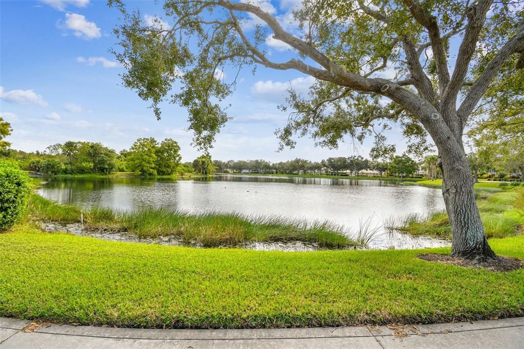 En Venta: $449,000 (3 camas, 3 baños, 1846 Pies cuadrados)