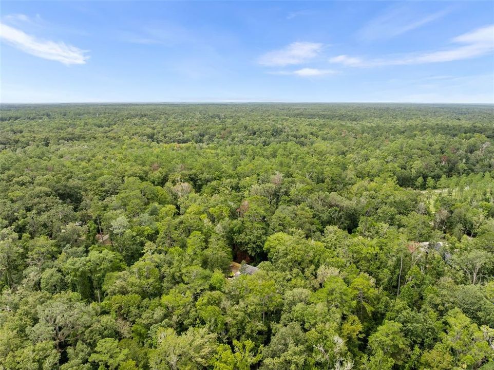 待售: $699,900 (3 贝兹, 3 浴室, 2337 平方英尺)