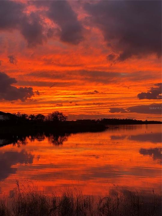 合同活跃: $899,000 (5 贝兹, 3 浴室, 2843 平方英尺)