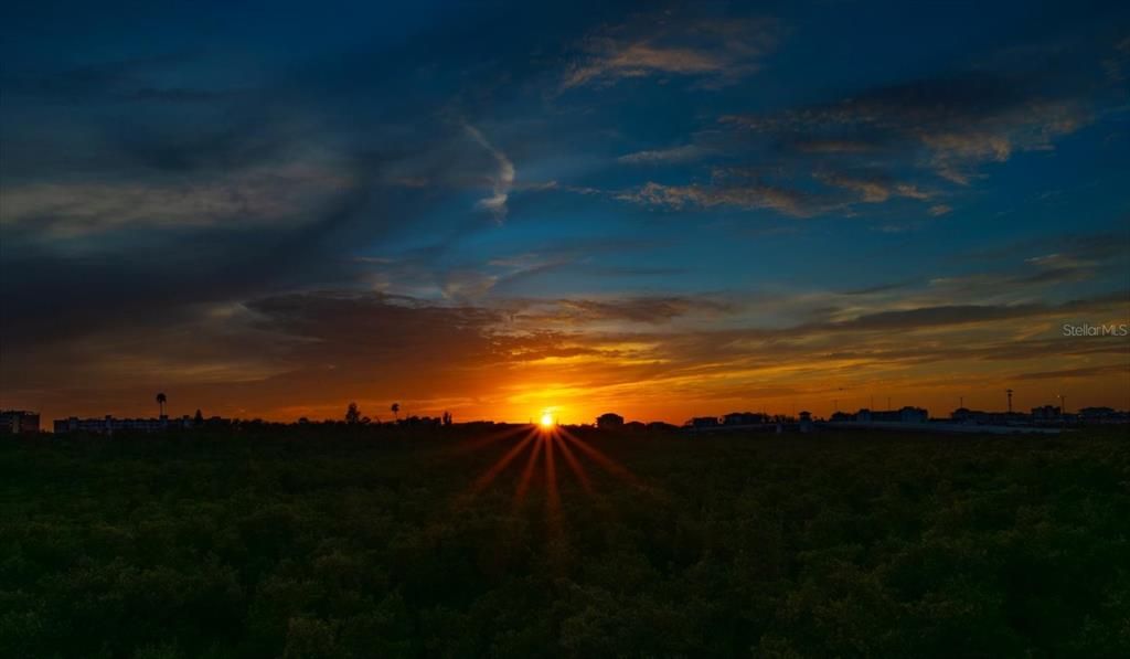 Под контрактом: $1,299,000 (4 спален, 2 ванн, 2846 Квадратных фут)