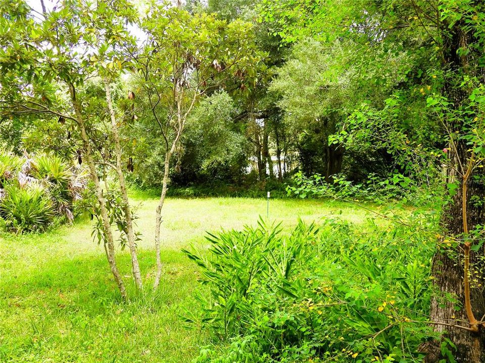 待售: $22,500 (0.17 acres)