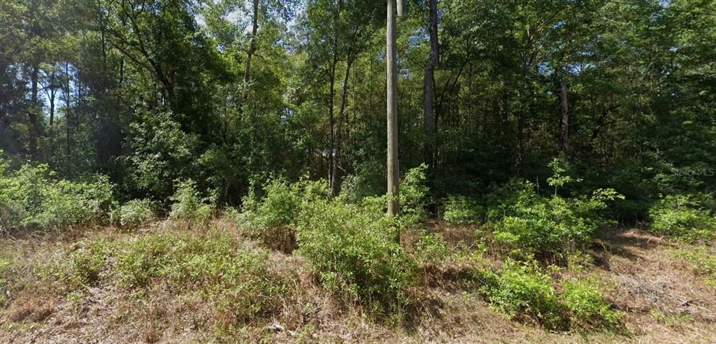 For Sale: $20,000 (0.24 acres)