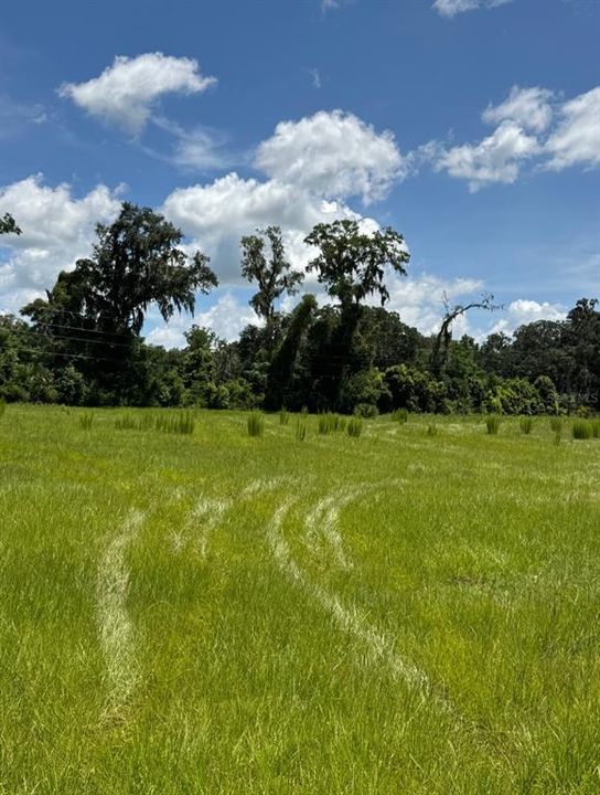 For Sale: $599,000 (9.68 acres)