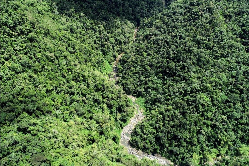 For Sale: $1,000,000 (174.00 acres)