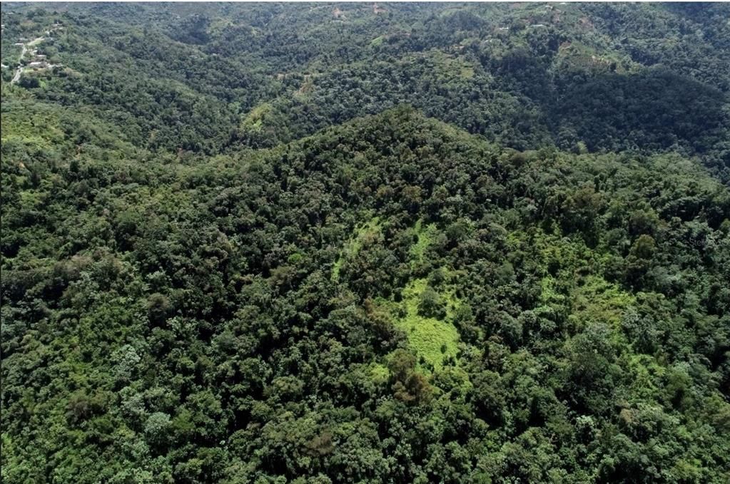 For Sale: $1,000,000 (174.00 acres)