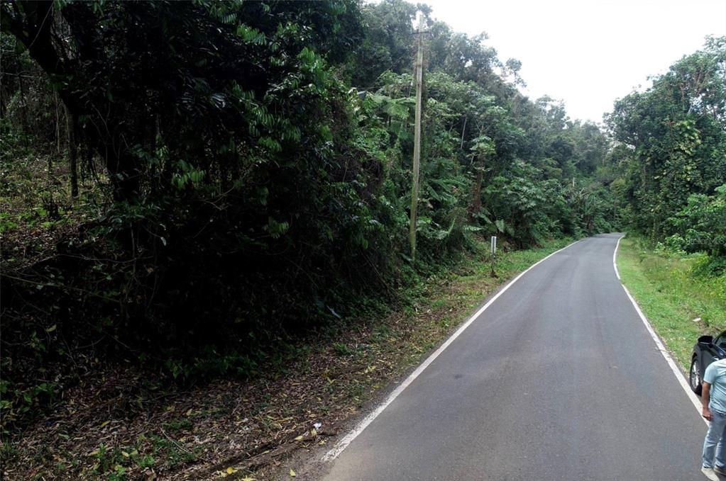 For Sale: $1,000,000 (174.00 acres)