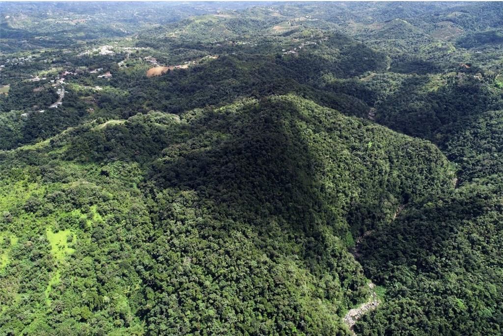 For Sale: $1,000,000 (174.00 acres)