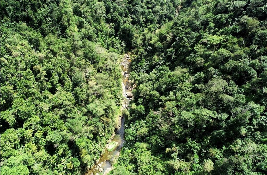 For Sale: $1,000,000 (174.00 acres)