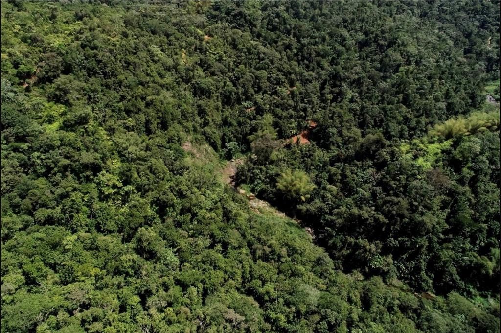 For Sale: $1,000,000 (174.00 acres)