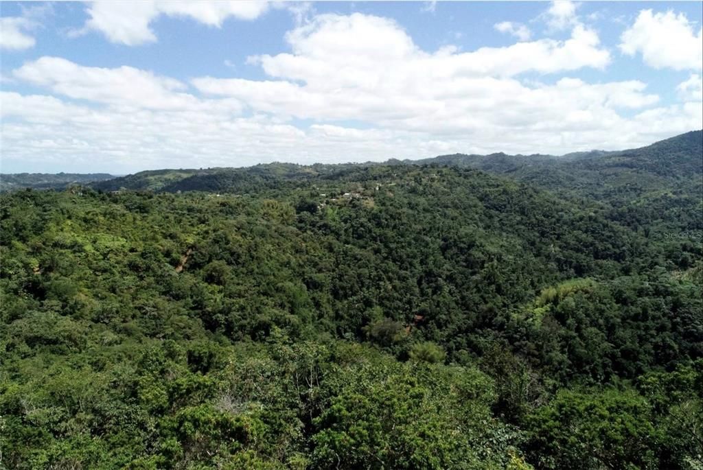 For Sale: $1,000,000 (174.00 acres)