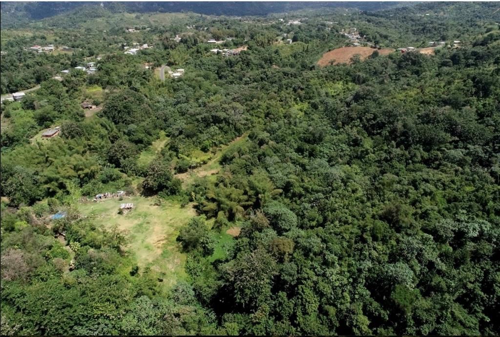 For Sale: $1,000,000 (174.00 acres)