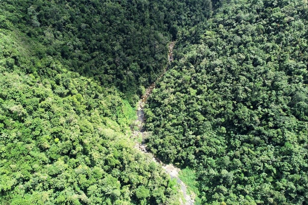 For Sale: $1,000,000 (174.00 acres)