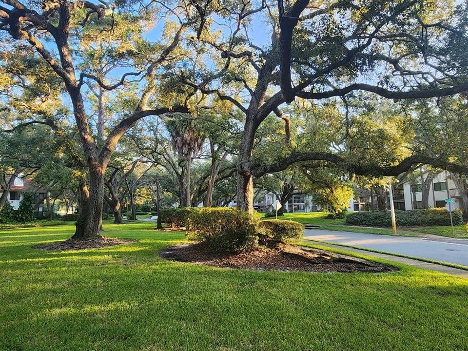 待售: $225,000 (2 贝兹, 2 浴室, 1060 平方英尺)