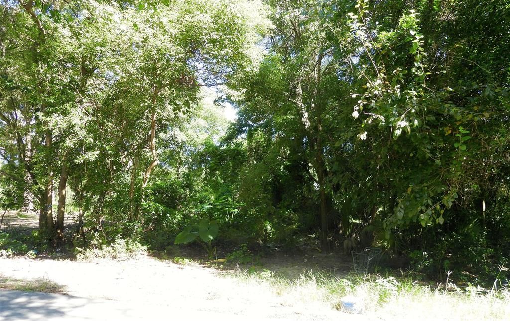 待售: $29,900 (0.11 acres)