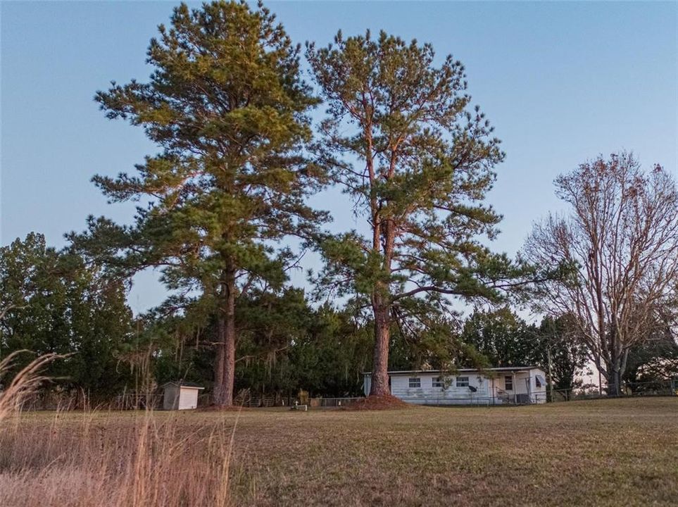 For Sale: $1,200,000 (14.52 acres)