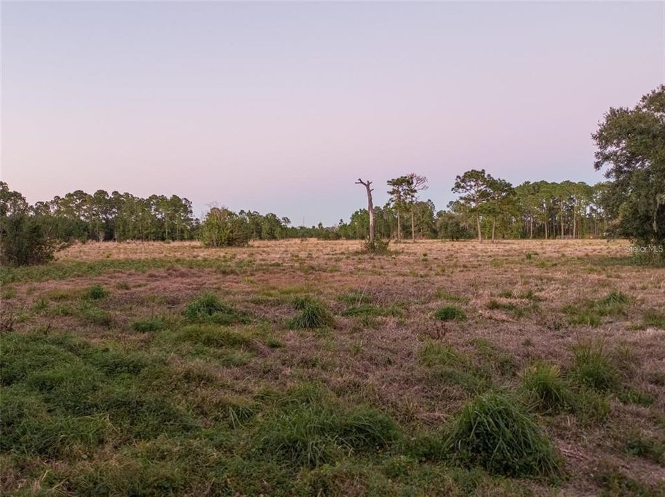 For Sale: $1,200,000 (14.52 acres)