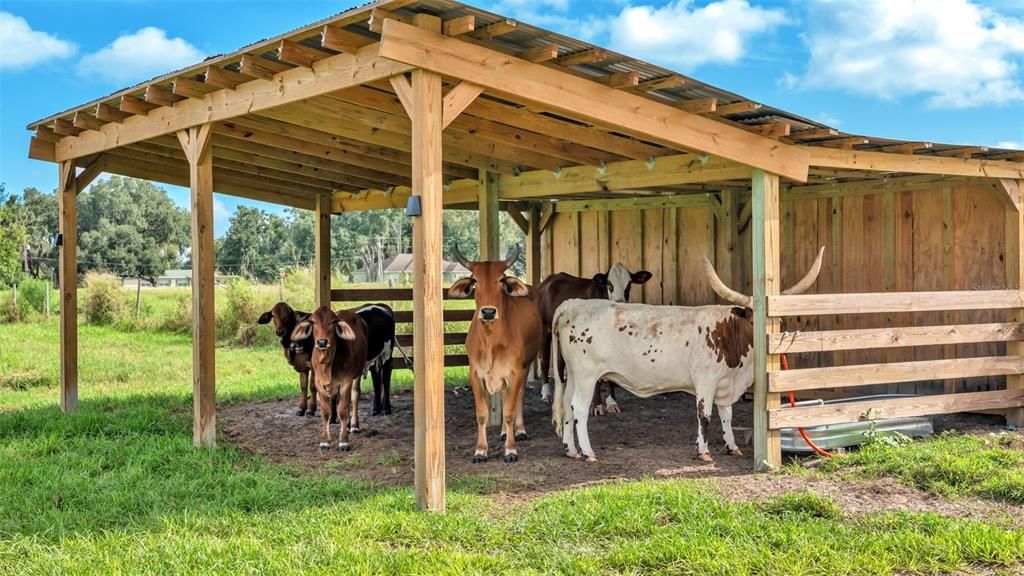 For Sale: $550,000 (8.33 acres)