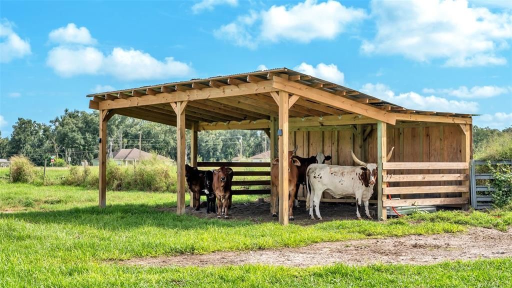 For Sale: $550,000 (8.33 acres)