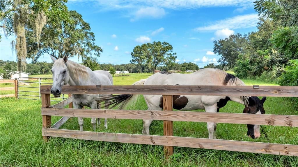 For Sale: $550,000 (8.33 acres)