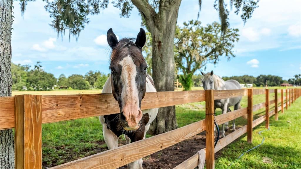 For Sale: $550,000 (8.33 acres)