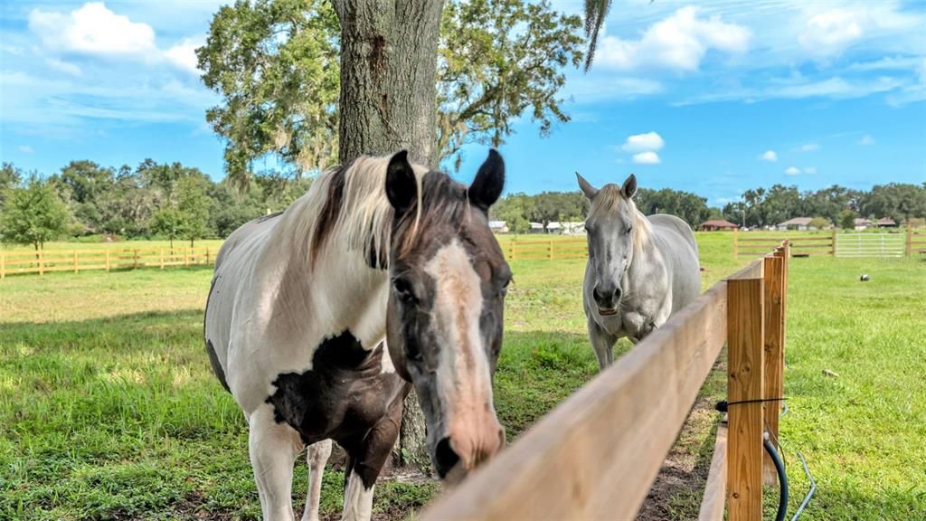 For Sale: $550,000 (8.33 acres)