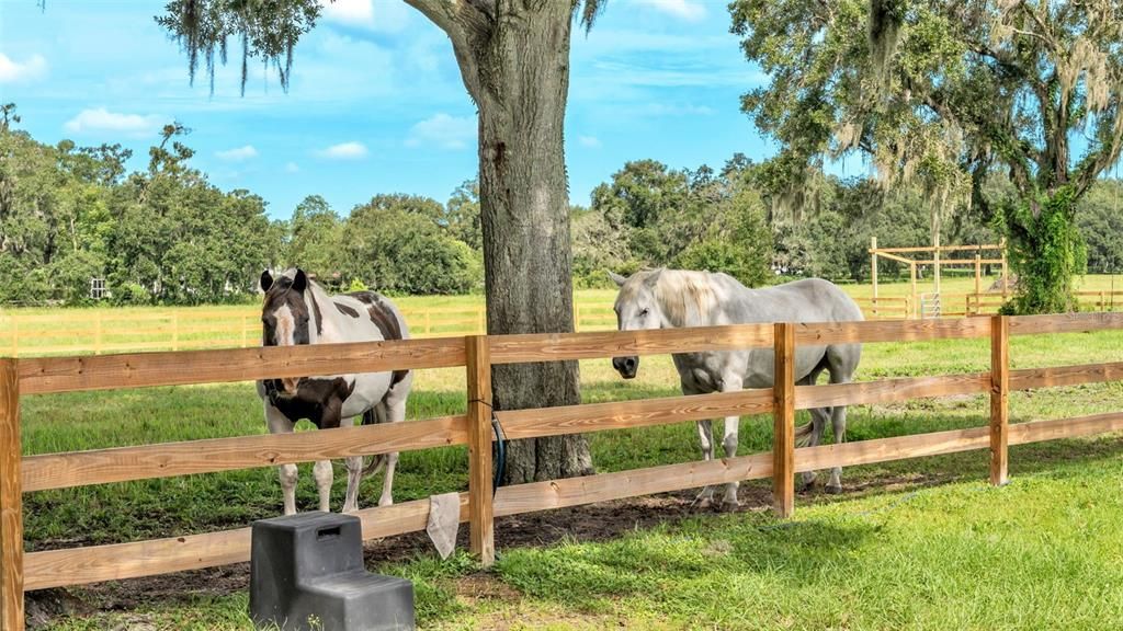 For Sale: $550,000 (8.33 acres)