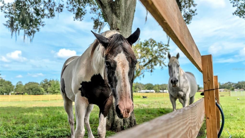 For Sale: $550,000 (8.33 acres)