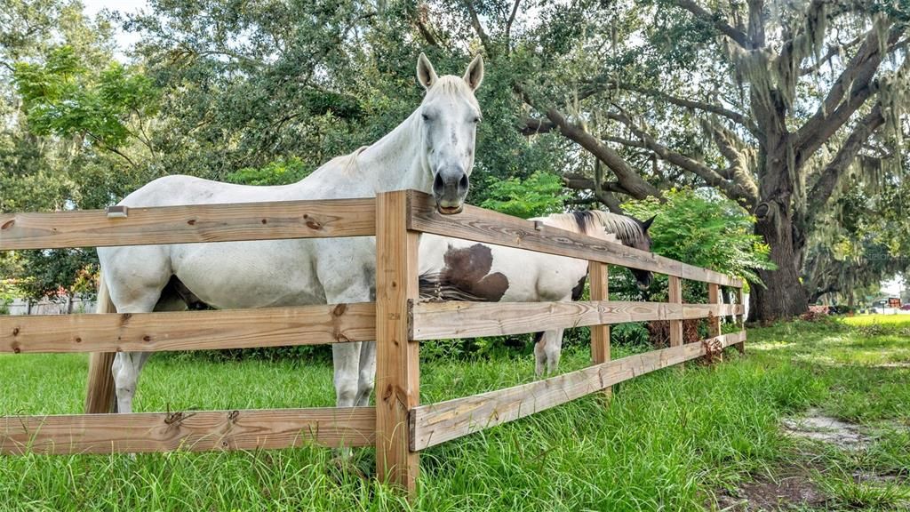 For Sale: $550,000 (8.33 acres)