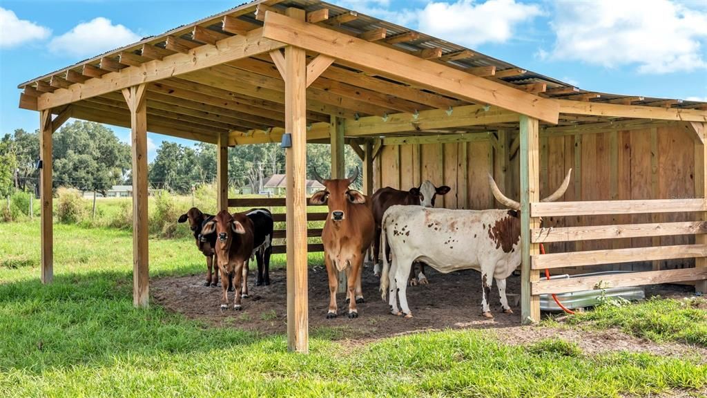 For Sale: $550,000 (8.33 acres)