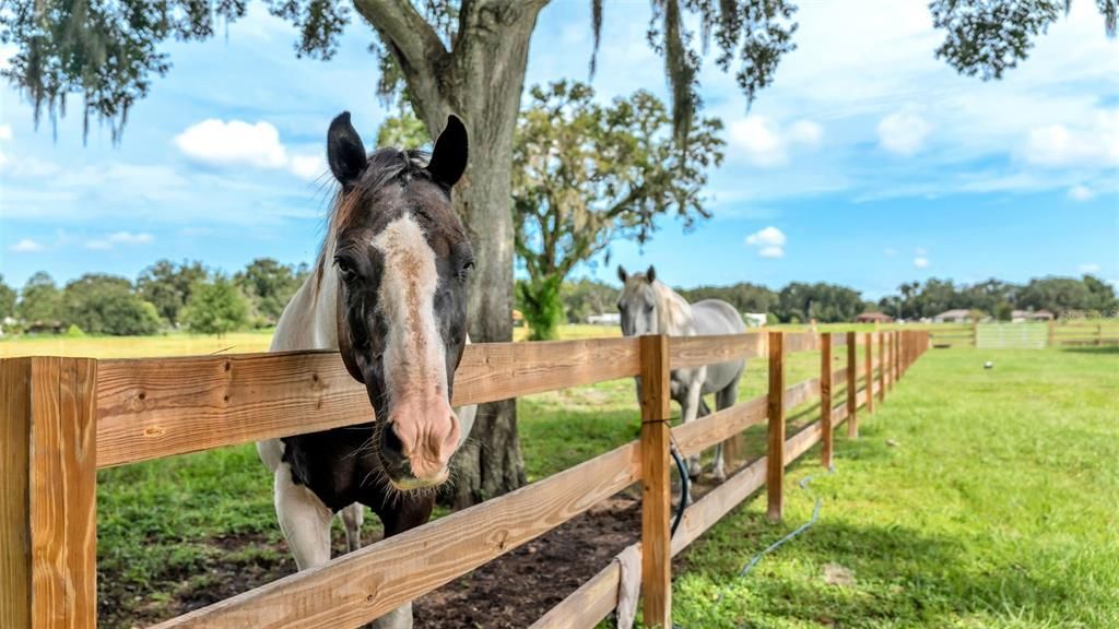 For Sale: $550,000 (8.33 acres)