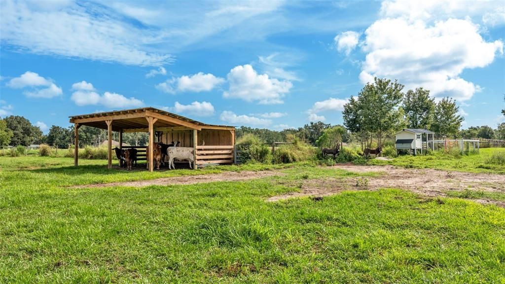 For Sale: $550,000 (8.33 acres)