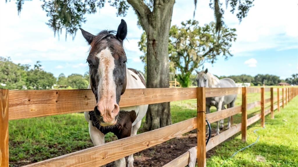 For Sale: $550,000 (8.33 acres)