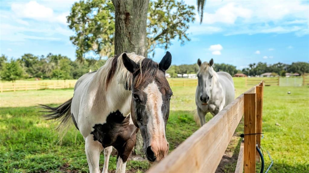 For Sale: $550,000 (8.33 acres)