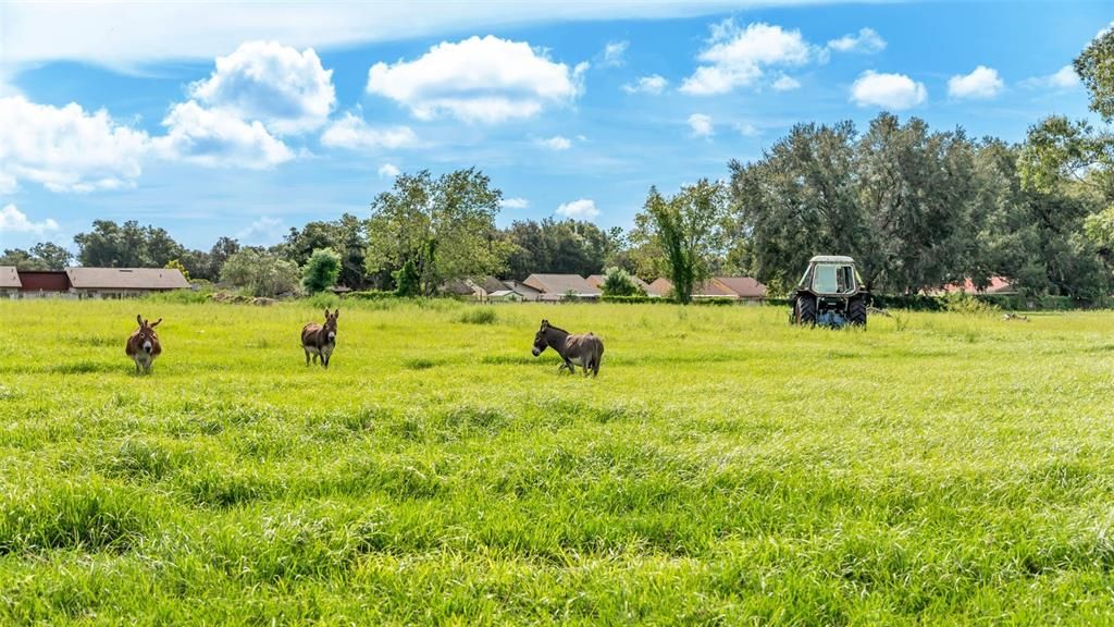 For Sale: $550,000 (8.33 acres)