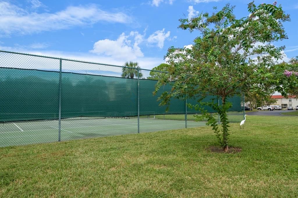 Active With Contract: $135,000 (2 beds, 1 baths, 905 Square Feet)