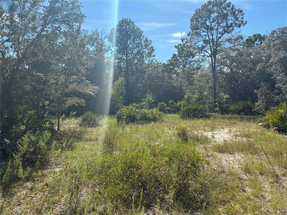 待售: $12,500 (0.24 acres)