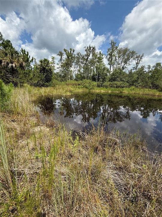 На продажу: $295,000 (5.00 acres)