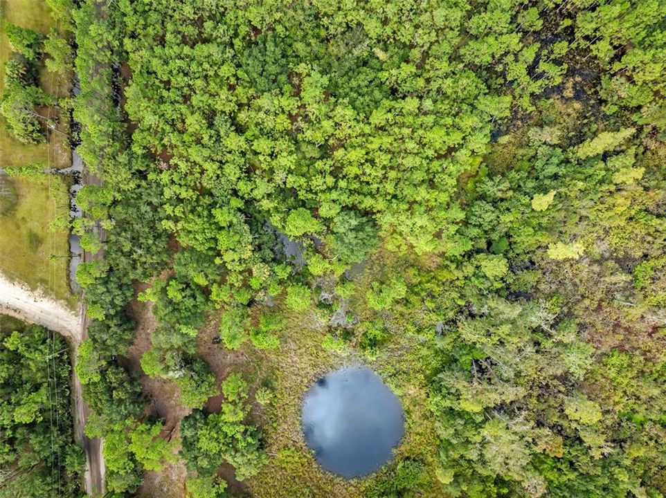 На продажу: $295,000 (5.00 acres)