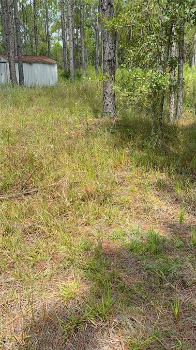 На продажу: $295,000 (5.00 acres)