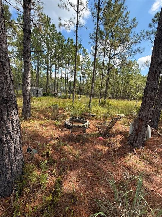 На продажу: $295,000 (5.00 acres)