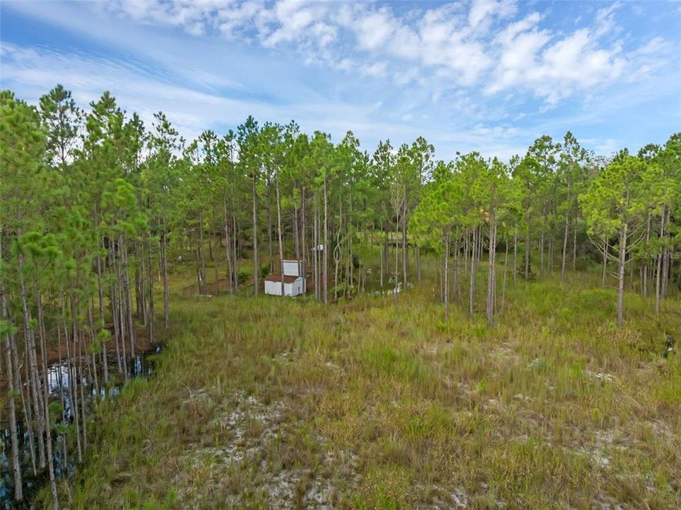 На продажу: $295,000 (5.00 acres)