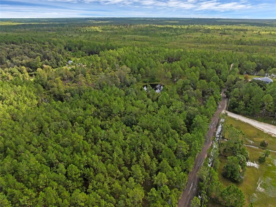 На продажу: $295,000 (5.00 acres)