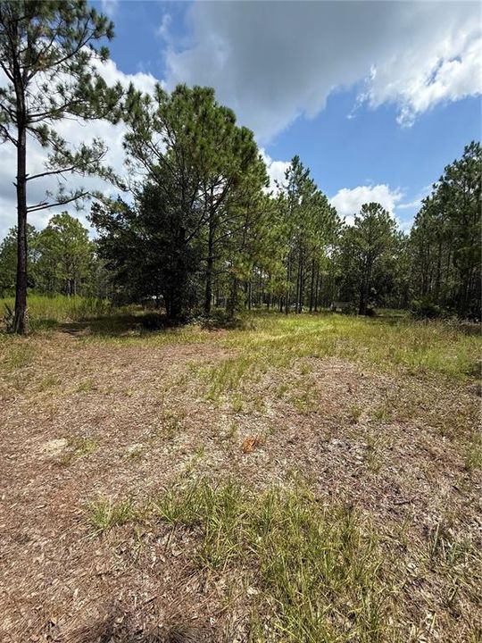 На продажу: $295,000 (5.00 acres)