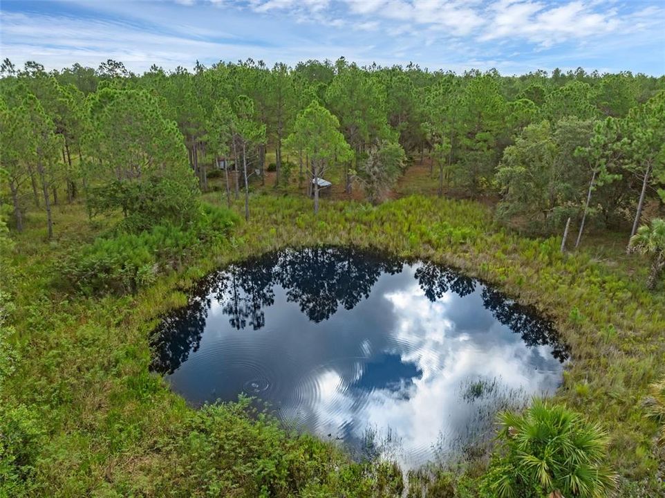 На продажу: $295,000 (5.00 acres)