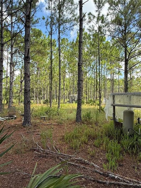 На продажу: $295,000 (5.00 acres)