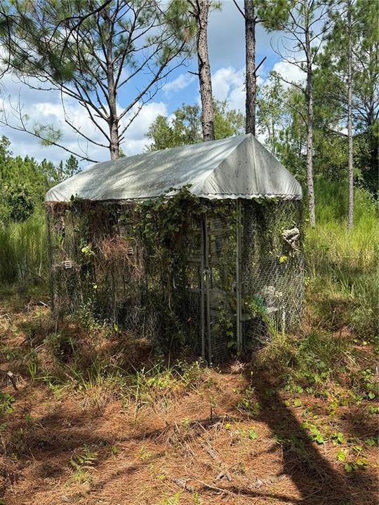 На продажу: $295,000 (5.00 acres)