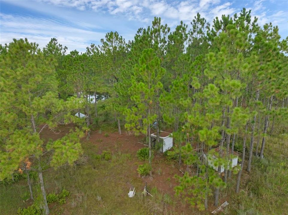 На продажу: $295,000 (5.00 acres)