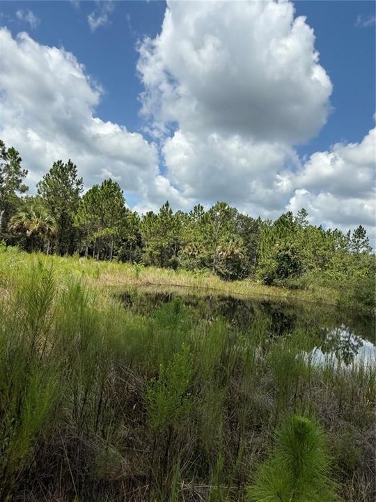 На продажу: $295,000 (5.00 acres)